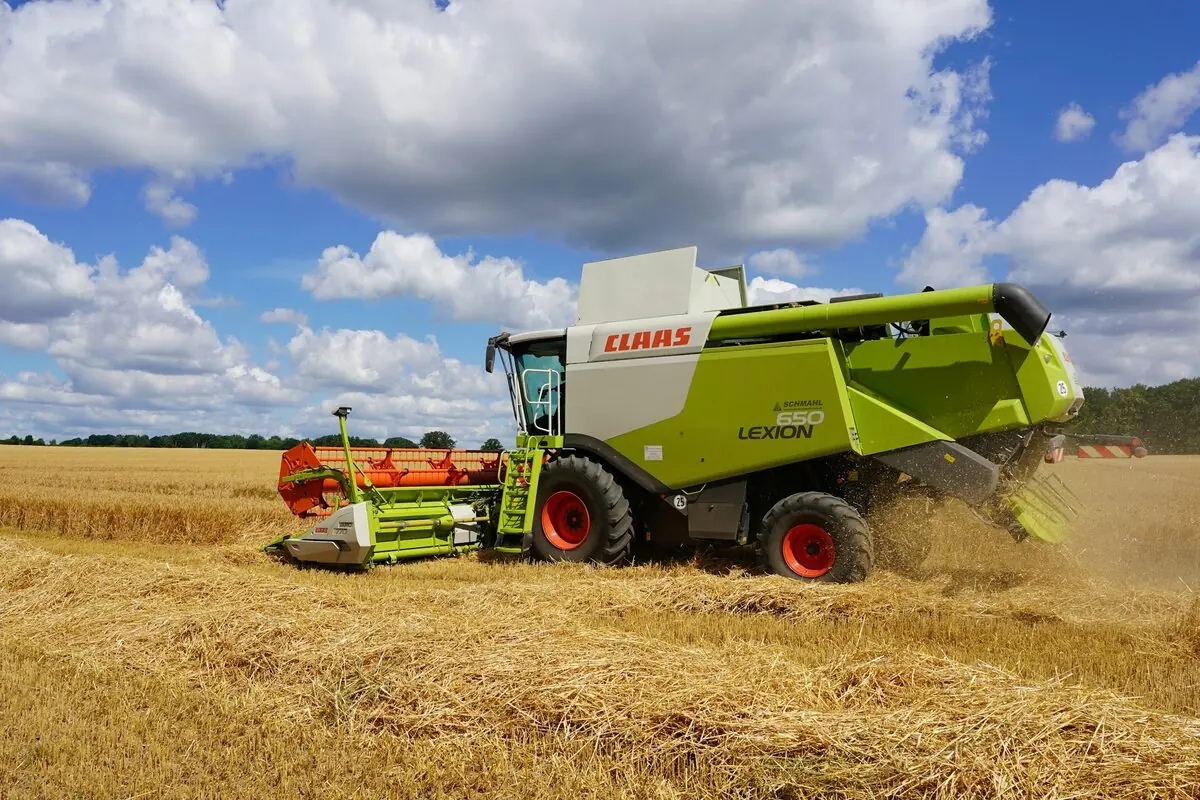 CLAAS LEXION Mähdrescher bei der Weizenernte